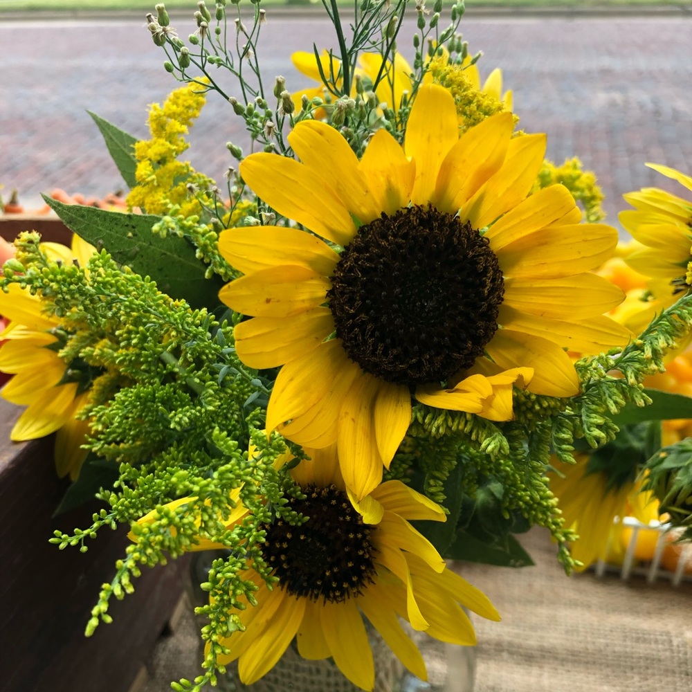 Meet your Posher, Steph